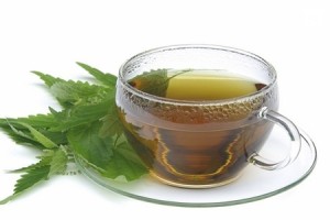 kopriva