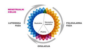 menstruacija