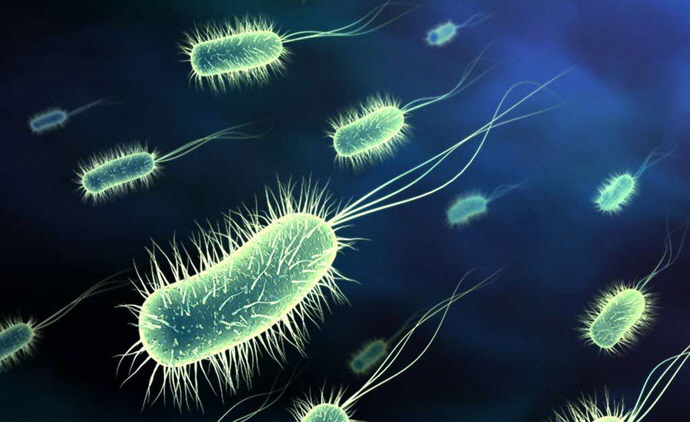 Spas od echerichie coli- Recept