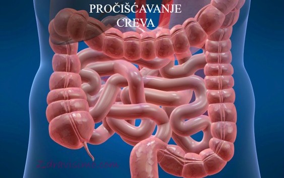 Najzdraviji način za čišćenje creva