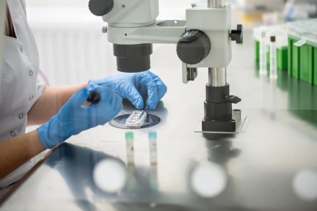 Pesticidi u hrani se povezuju sa slabijim uspehom IVF